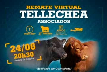 REMATE VIRTUAL TELLECHEA ASSOCIADOS